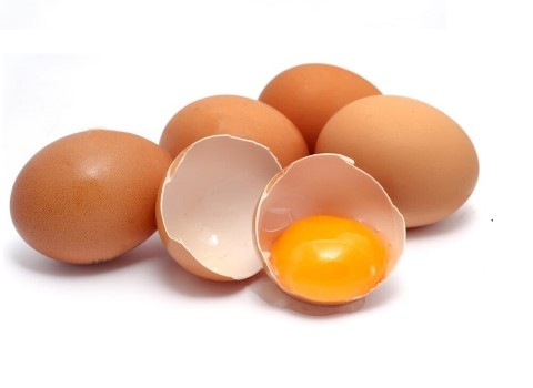 خرید و فروش تخم مرغ محلی اصل با شرایط فوق العاده